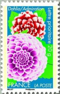 Colnect-999-095-Dahlia--Admiration.jpg