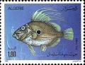 Colnect-1562-719-John-Dory-Zeus-faber.jpg