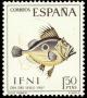 Colnect-1348-747-John-Dory-Zeus-faber.jpg