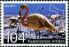 Colnect-1014-808-American-Flamingo-Phoenicopterus-ruber-Map-of-Bonaire.jpg