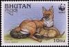 Colnect-1720-369-Dhole-Cuon-alpinus.jpg