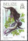 Colnect-2162-324-Black-Howler-Alouatta-caraya.jpg