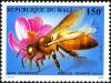 Colnect-2273-538-Giant-Honeybee-Apis-dorsata.jpg