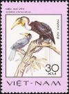 Colnect-3682-053-Wreathed-Hornbill-Aceros-undulatus.jpg