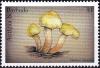 Colnect-3840-424-Pholiota-alnicola.jpg