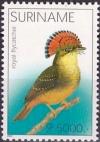 Colnect-3970-693-Onychorhynchus-coronatus.jpg