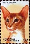 Colnect-4385-342-Oriental-shorthair-red-Agouti-tabby.jpg