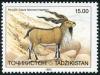 Colnect-5030-261-Bukharan-Markhor-Capra-falconeri-heptneri.jpg