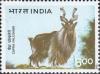 Colnect-5799-257-Markhor-Capra-falconeri.jpg