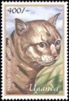 Colnect-6075-874-Tabby-British-Shorthair-Felis-silvestris-catus.jpg