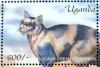 Colnect-6075-877-Blue-and-Cream-Shorthair-Felis-silvestris-catus.jpg