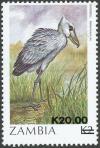 Colnect-864-848-African-Shoebill-Balaeniceps-rex.jpg