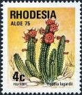 Colnect-4188-852-Hoodia-Lugardii.jpg