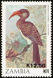 Colnect-864-846-Bradfield-s-Hornbill-Tockus-bradfieldi.jpg