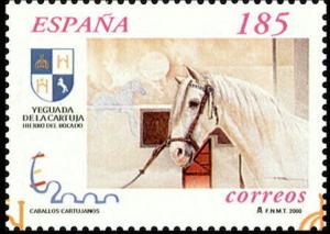 Colnect-1291-786-Carthusian-Horse-Equus-ferus-caballus.jpg