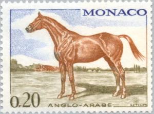 Colnect-148-195-Anglo-Arab-Horse-Equus-ferus-caballus.jpg