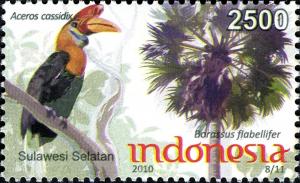 Colnect-1565-340-Knobbed-Hornbill-Aceros-cassidix.jpg