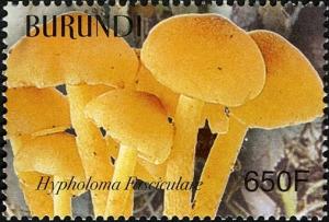 Colnect-1592-998-Hypholoma-fasciculare.jpg