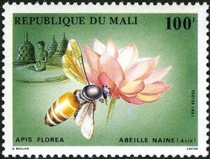 Colnect-2273-537-Dwarf-Honey-Bee-Apis-florea.jpg