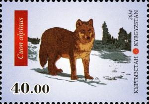 Colnect-3073-859-Dhole-Cuon-alpinus.jpg