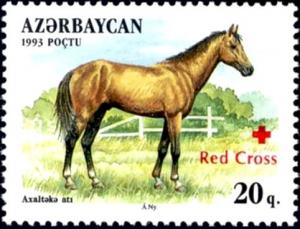 Colnect-3088-811-Akhalteki-Horse-Equus-ferus-caballus.jpg