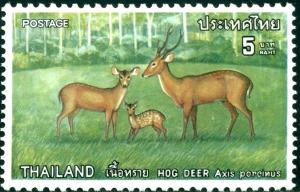 Colnect-3197-323-Indian-Hog-Deer-Axis-porcinus.jpg