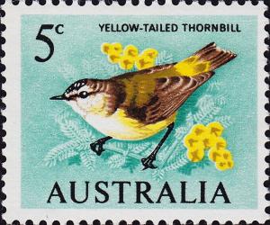 Colnect-3497-330-Yellow-Tailed-Thornbill-Acanthiza-chrysorrhoa.jpg