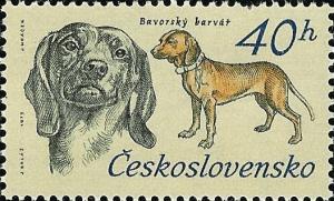 Colnect-414-062-Bavarian-Bloodhound-Canis-lupus-familiaris.jpg