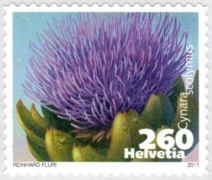 Colnect-4205-567-Artichoke-Cynara-scolymus.jpg