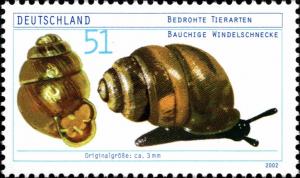 Colnect-5204-131-Desmoulin--s-Whorl-Snail-Vertigo-moulinsiana.jpg