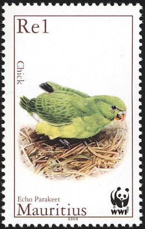 Colnect-760-731-Mauritius-Echo-Parakeet-Psittacula-echo.jpg