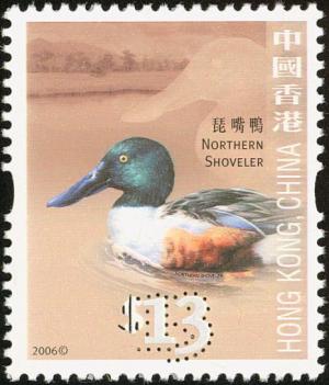 Colnect-832-014-Northern-Shoveler-Spatula-clypeata.jpg