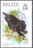 Colnect-2162-322-Black-Howler-Alouatta-caraya.jpg