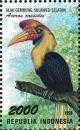 Colnect-1141-834-Knobbed-Hornbill-Aceros-cassidis.jpg