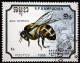 Colnect-1248-917-Western-Honeybee-Apis-mellifera.jpg