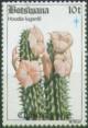 Colnect-1753-341-Hoodia-lugardii.jpg