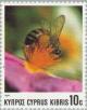 Colnect-177-344-European-Honey-Bee-Apis-mellifica.jpg