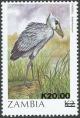 Colnect-864-848-African-Shoebill-Balaeniceps-rex.jpg