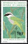 Colnect-4278-487-Mount-Kupe-Bushshrike---Chlorophoneus-kupeensis.jpg