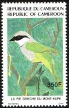 Colnect-4278-488-Mount-Kupe-Bushshrike---Chlorophoneus-kupeensis.jpg