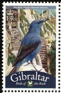 Colnect-2172-230-Blue-Rock-Thrush-Monticola-solitarius.jpg