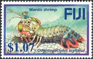 Colnect-1613-709-Peacock-Mantis-Shrimp-Odontodactylus-scyllarus-.jpg