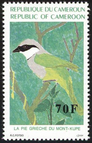 Colnect-4278-487-Mount-Kupe-Bushshrike---Chlorophoneus-kupeensis.jpg