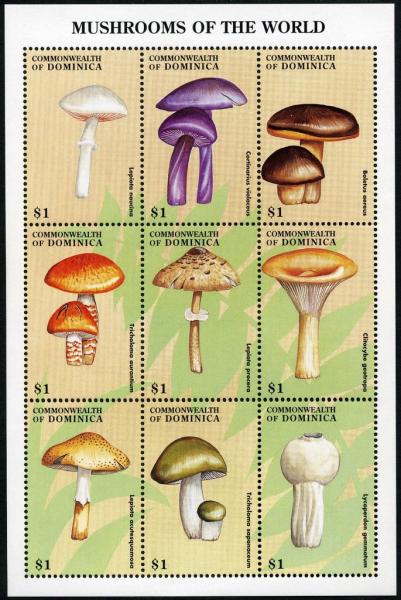 Colnect-3037-961-Mushrooms-of-the-World.jpg