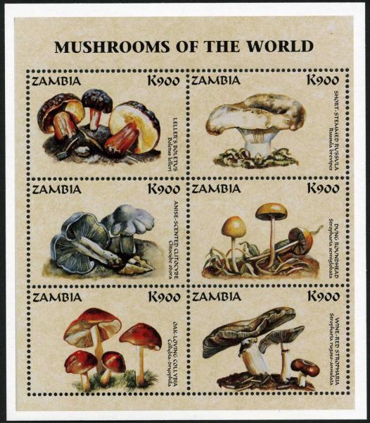 Colnect-3056-486-Mushrooms-of-the-World.jpg