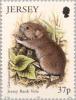 Colnect-127-820-Bank-Vole-Clethrionomys-glareolus-caesarius.jpg