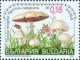 Colnect-1818-286-Field-Mushroom-Agaricus-campestris.jpg