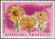 Colnect-2037-845-Helichrysum-Erici-Rosenii.jpg