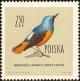 Colnect-2665-771-Blue-Rock-Thrush-Monticola-solitarius.jpg