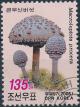 Colnect-3269-522-Parasol-mushroom-Macrolepiota-procera.jpg